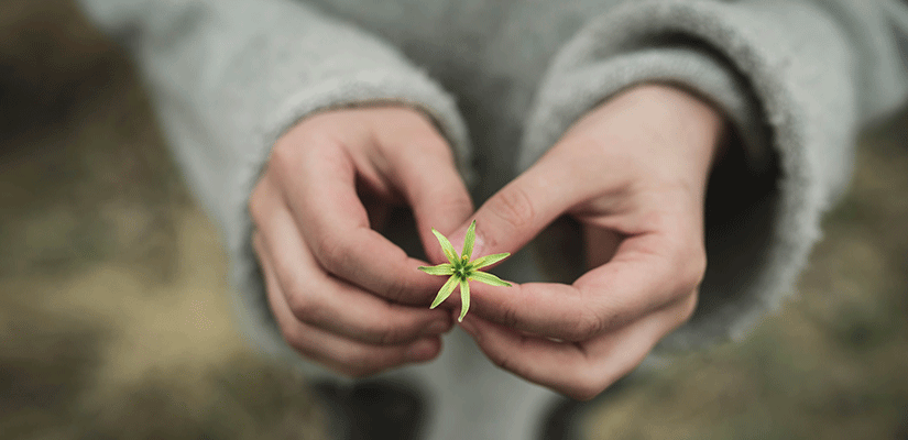 Woman holding small seedling